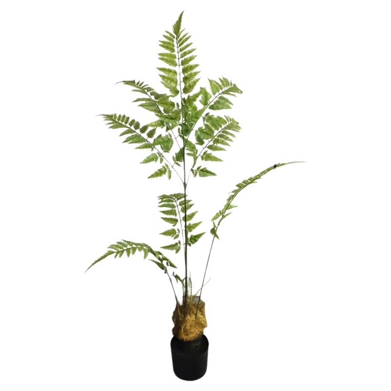 仿真猴头蕨金丝蕨蕨类新品室内装饰造景仿真绿植盆栽假植物