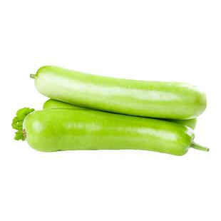 老品种瓠子种子蒲瓜种籽瓠瓜籽种棒瓜籽耐热田园藤瓜瓠瓜蔬菜种子