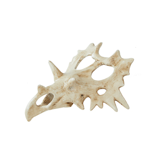 其鳞爬宠三角恐龙头骨躲避攀爬守宫爬宠缸造景侏罗纪睫角宠物蛇