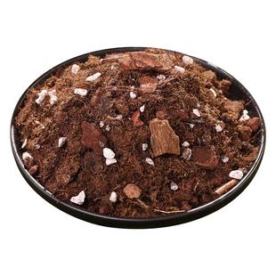 种啥啥活土配方型泥炭土通用型营养土园艺营养土种花种菜土酸性土