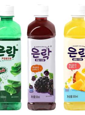 恩乐ENLE库拉索芦荟桑葚菠萝饮料厂家直销选用多口味500ml*10瓶
