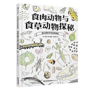 浪花朵朵正版现货 食肉动物与食草动物探秘 盛口满的手绘自然图鉴 7-10岁 日本童书研究会推荐 动物科普绘本 后浪童书