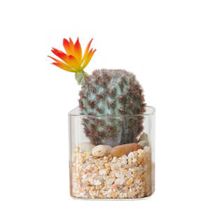 仿真小盆栽多肉植物桌摆组合盆栽 自然感家居盆景办公装饰 art393