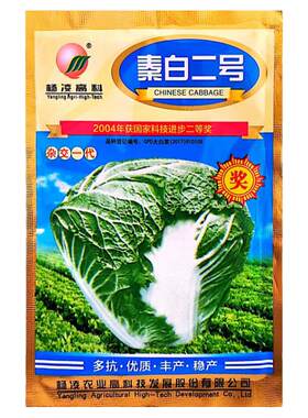 秦白二号白菜种子抗根肿病