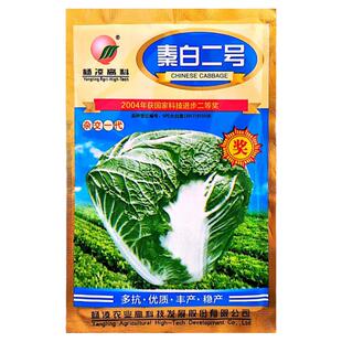 秦白二号大白菜种子杨凌高科秦白2号秋季冬储白菜种子火锅蔬菜籽