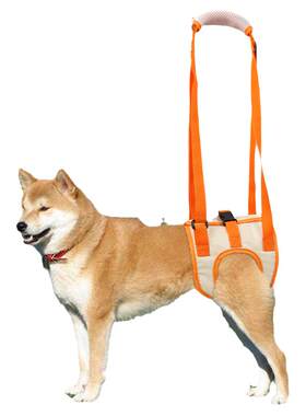 宠物后腿辅助带高龄老年犬瘫痪犬狗狗术后康复锻炼上楼伸缩协助带