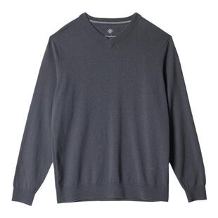 GORNIA/格罗尼雅男士长袖针织衫100%山羊绒舒暖百搭柔软V领羊毛衫