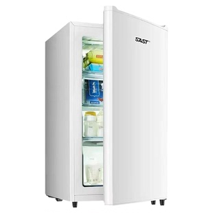 SAST/先科立式冰柜家用冷冻柜商用全冷冻冰箱小型母乳柜节能冷柜