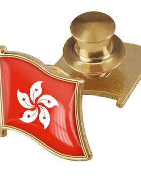 珐琅工艺香港特别行政区旗旗帜胸章世界各国旗帜商务徽章襟章配饰
