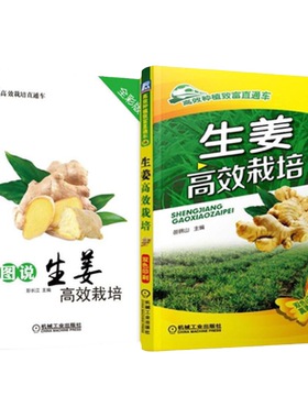 套装 官网正版 生姜栽培种植技术 共2本 生姜高效栽培+图说生姜高效栽培 全彩版 轮作间作 套种技巧
