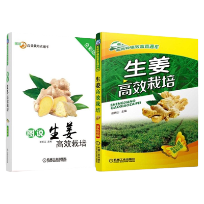 套装 官网正版 生姜栽培种植技术 共2本 生姜高效栽培+图说生姜高效栽培 全彩版 轮作间作 套种技巧