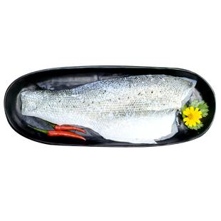 白蕉海鲈鱼鱼排无刺鱼柳新鲜鲈鱼芦鱼卢鱼鱼块鱼段 珠海斗门特产