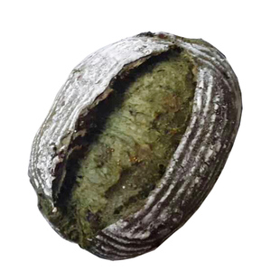 纯全麦面包手工现做无糖精未加油抹茶味面包水果干面包粗粮杂粮包