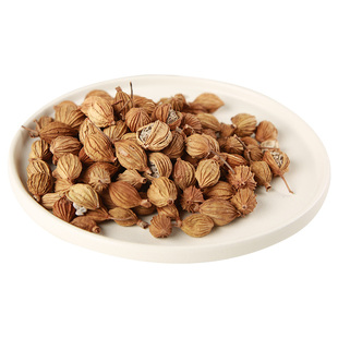 香砂500g 川沙仁香砂仁优质四川香砂特产炖肉卤菜商用可磨粉