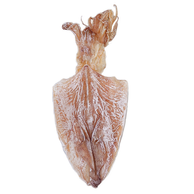 万港鱿鱼干货烧烤专用品牌正品