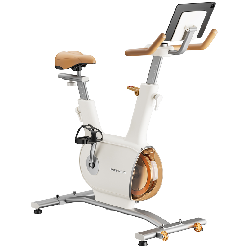 飛爾頓動感單車健身家用智能運動減肥器材靜音小型室內(nèi)自行腳踏車