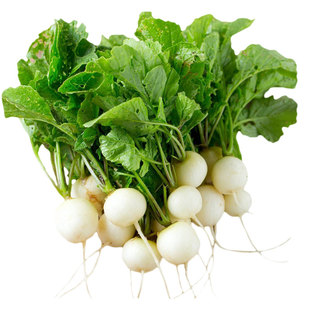 白冰雹樱桃水果萝卜种子甜脆多汁浓郁传家宝春秋易种阳台盆栽蔬菜