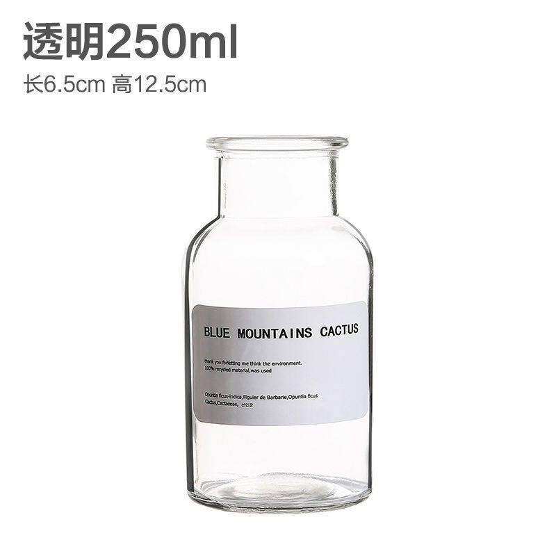 北欧新款欧式台面小花玻璃花瓶