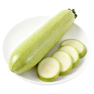 西葫芦小嫩瓜长形新鲜蔬菜嫩小金瓜嫩南瓜绿皮甜瓜小角瓜新鲜蔬菜