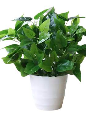 仿真绿萝叶盆栽假花塑料人造绿植室内外落地盆景隔断花槽装饰花卉