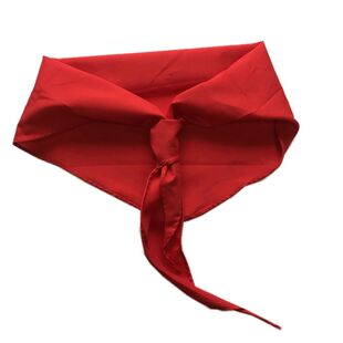 包邮立阳小学生小号1米少先队员红领巾儿童成人通用红领巾单独包