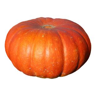 寿禾巨型南瓜种子种籽特大超大观赏太空孑蔬菜春播瓜果菜种菜籽