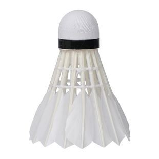 WITESS目击者羽毛球耐打6只装打不烂耐打王鹅毛球训练球专用404A