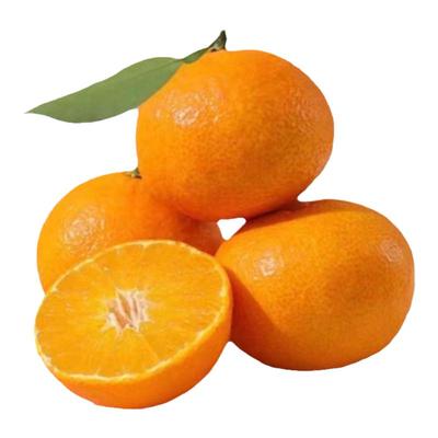 正宗象山红美人官方柑橘桔子爱媛28号果冻橙当季水果礼盒装新鲜橘