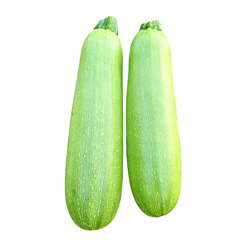 西葫芦种子/种籽/西葫芦苗 茭瓜 早熟阳台四季盆栽蔬菜种苗孑