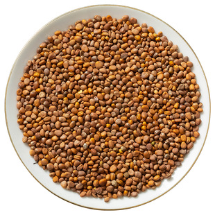 正品莱菔子中药材新货生莱服子炒熟萝卜籽白萝卜山药莱菔子粉