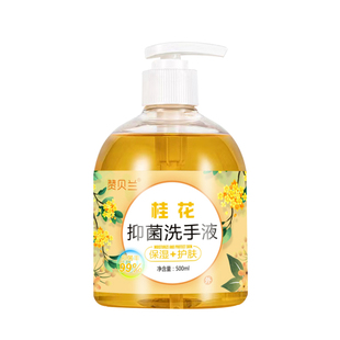 赞贝兰抑菌洗手液家用批发芦荟滋润保湿按压瓶泡沫留香型商用批发