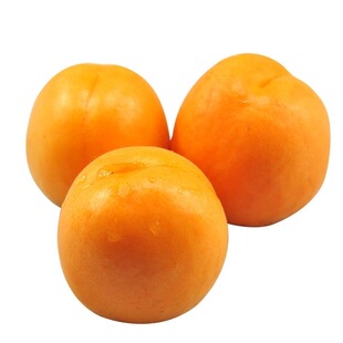 正宗山西金太阳头茬大黄杏应季新鲜水果产地直发酸甜爽口整箱包邮