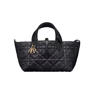 2026女士戴妃包牛皮大容量通勤高級感单肩腋下托特toujours手提包