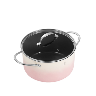莱德斯 有钛陶瓷双耳汤锅家用0氟304不锈钢炖锅煮锅电磁燃气通用