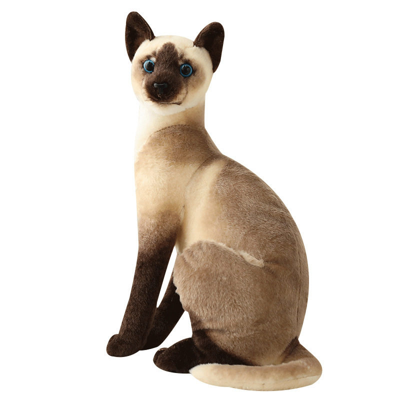 仿真毛绒玩具坐姿猫猫送宝宝礼物
