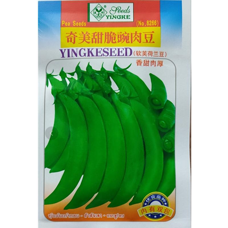 奇美甜脆豌豆种子专门吃壳厚肉甜豆菜豆荷兰豆种籽秋冬季蔬菜种孑