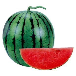 小糖丸西瓜种子种籽阳台盆栽早熟超甜高产南方四季孑小型吊西爪