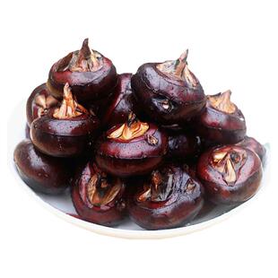 广西荔浦马蹄种荸荠种苗地栗组培苗马蹄种无病高产桂蹄3号2号可吃