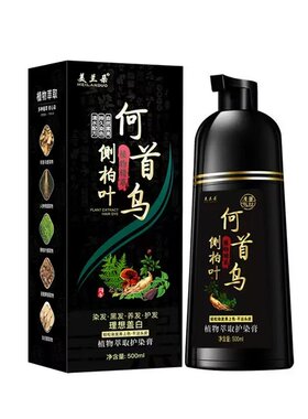 同仁堂何首乌一洗黑遮白发染发膏