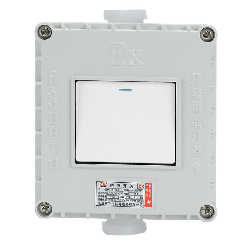 防爆墙壁开关220V10A明装暗装86型单联双联三联双控翘板照明开关