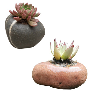 石头花盆创意天然鹅卵石盆水族盆景大号原生态花瓶多肉水培装饰盆