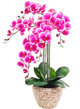 吸甲醛高档PU全手感蝴蝶兰仿真花
