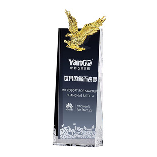保险机构春节客户答谢会战略合作伙伴水晶奖杯定制开年礼授牌荣誉