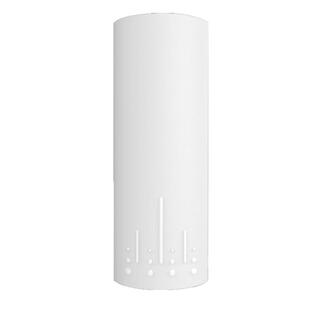 CPE220室外远距离点对点300M无线网桥WiFi网络监控电梯塔吊2.4G户外大功率3公里路由器AP桥接