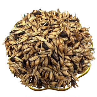 【正宗无添加】炒麦芽粉250克 炒大麦芽 炒大麦中药粉店铺药材大