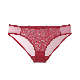 内裤女士蕾丝透气三角裤蕾丝性感薄底裤<不支持7天无理由退货>