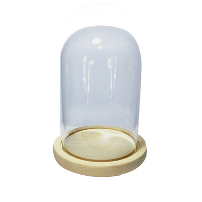 包邮玻璃罩木底座桌面摆件永生花