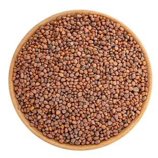 炒莱菔子500克g中药材新货正品生莱服子炒熟萝卜籽白萝卜莱菔子粉