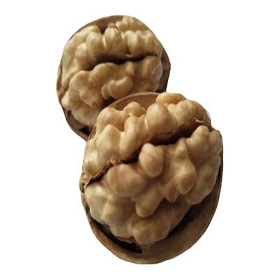 新货阿克苏纸皮核桃零食即开