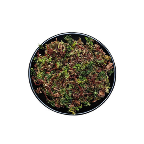 干品回心草正宗云南中药材250g包邮大叶藓茴薪草铁脚一把伞茴心草
